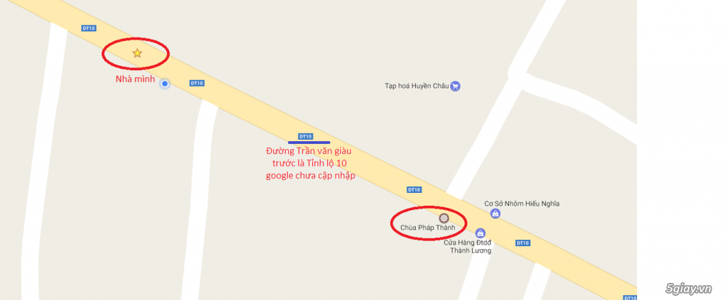 Bán Husky Sibir Thuần Chủng Giá Rẻ - 15