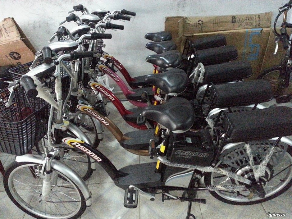 Xe đạp điện cũ các loại giá rẻ nhất TPHCM