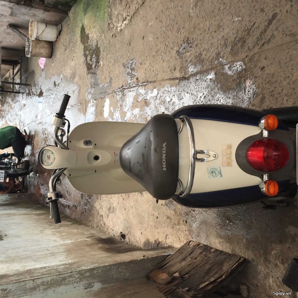 Xe Scoopy 50cc - 4