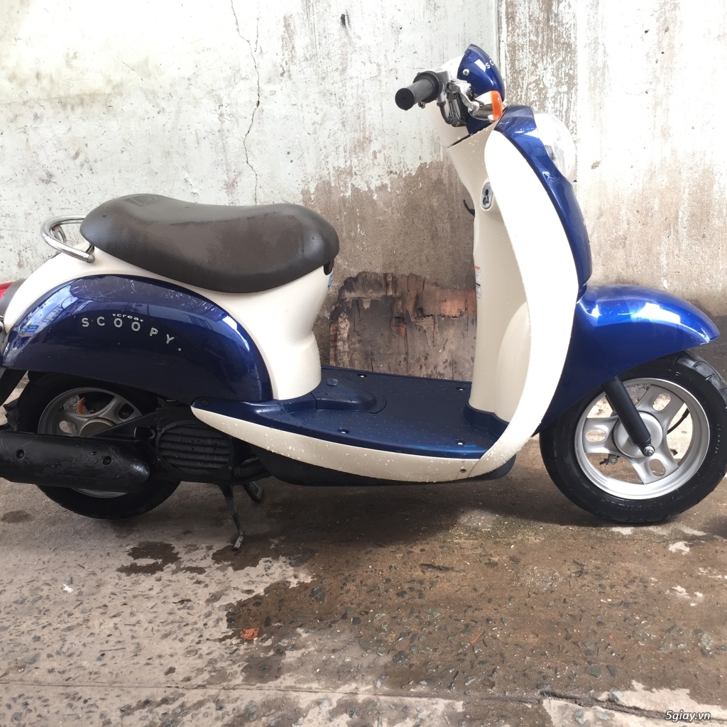 Xe Scoopy 50cc - 3