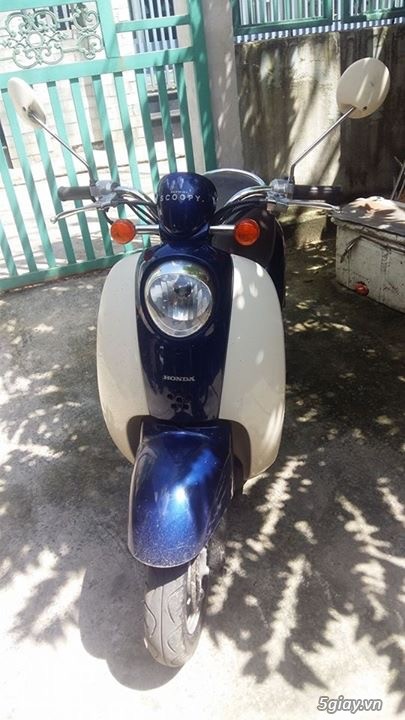 Xe Scoopy 50cc
