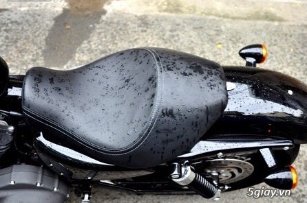 Cần bán Harley Davidson Nightster 1200N 2015 - 4