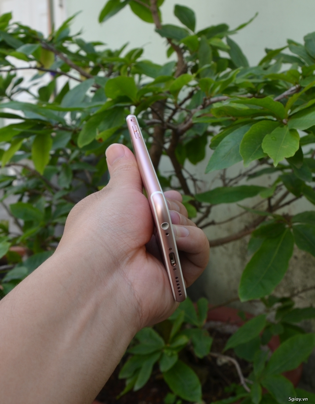 iPhone 6s 16gb rose nữ dùng rất keng - 4