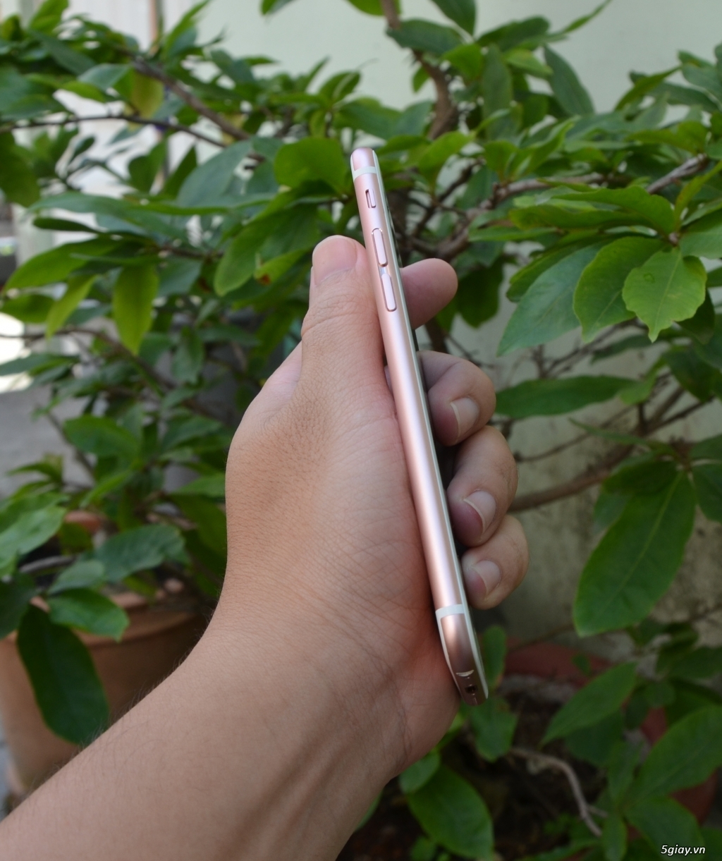 iPhone 6s 16gb rose nữ dùng rất keng - 3