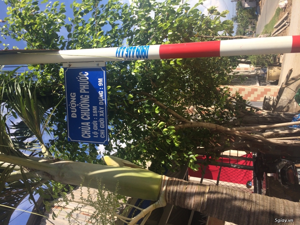 Đất biệt thự cách Nhà Bè 4Km - 6