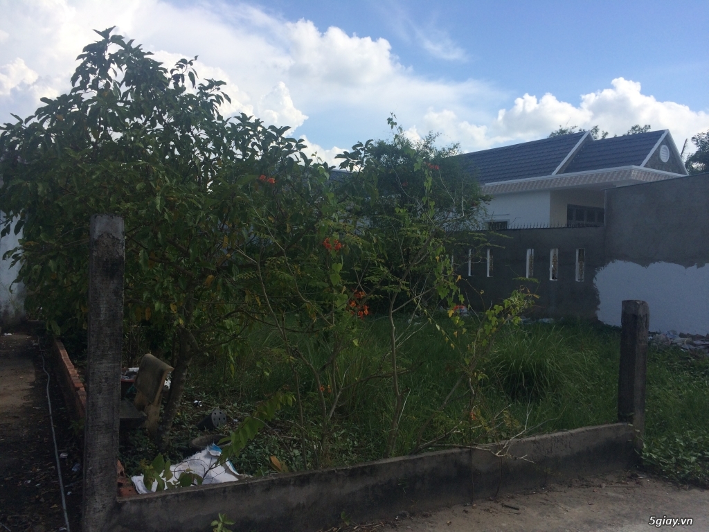 Đất biệt thự cách Nhà Bè 4Km - 3