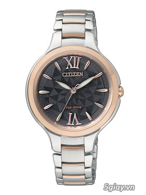 Đồng hồ Citizen EP5996-53H chính hãng Nhật Bản - 2