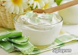 Bán thạch nha đam (lô hội) tươi ăn liền! - 2