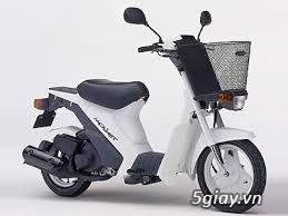 Suzuki Mollet 2 thì 50cc hàng Nhật zin