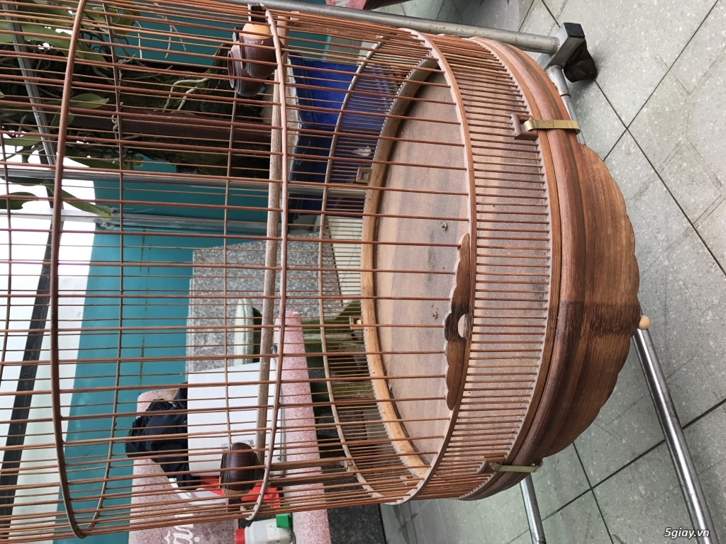 Q8,TPHCM cần bán 1 chít choè than và 1 lòng 80 - 2