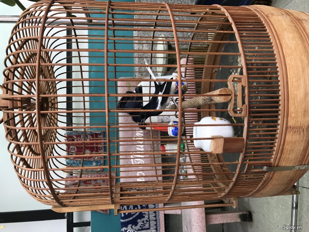 Q8,TPHCM cần bán 1 chít choè than và 1 lòng 80