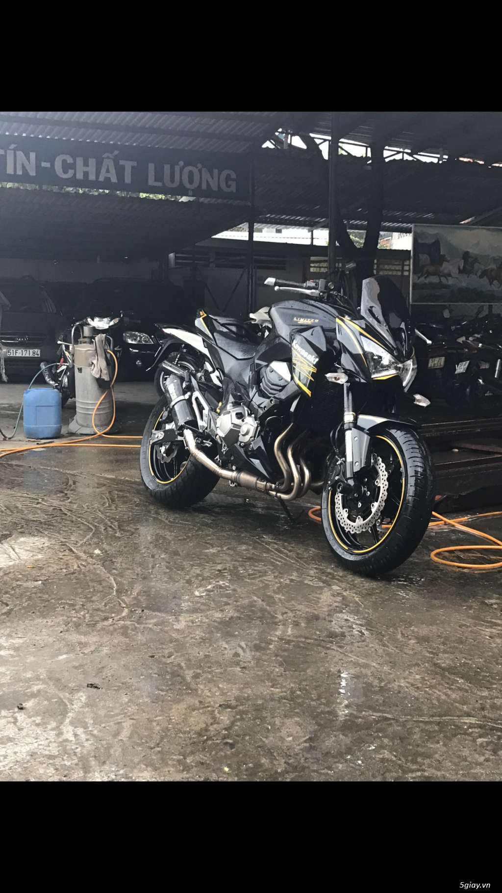 Z800 RA ĐI CỨU CHỦ - 3