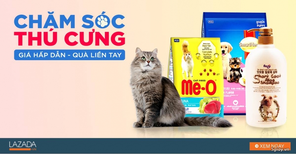 Dịch vụ chăm sóc thú cưng - Giá hấp dẫn sale đến 35%