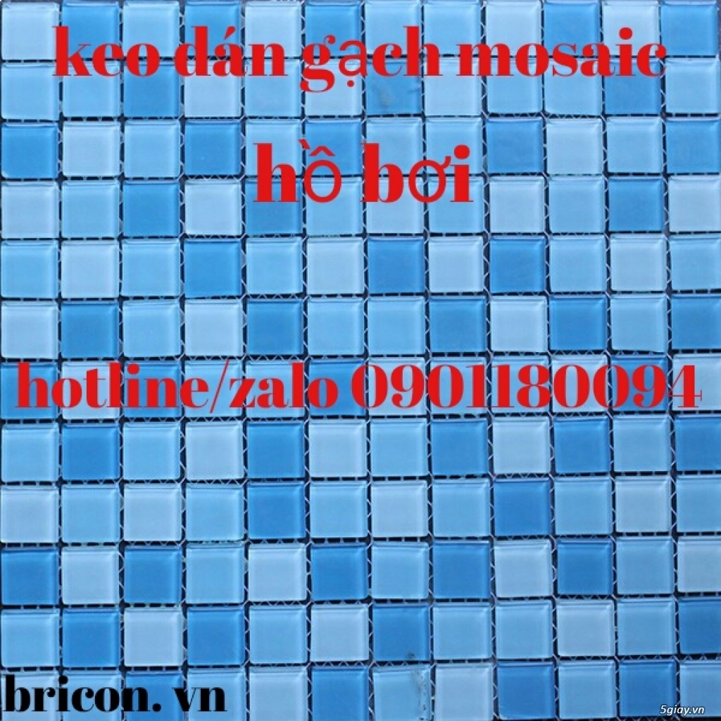 keo dán gạch mosaic - 2