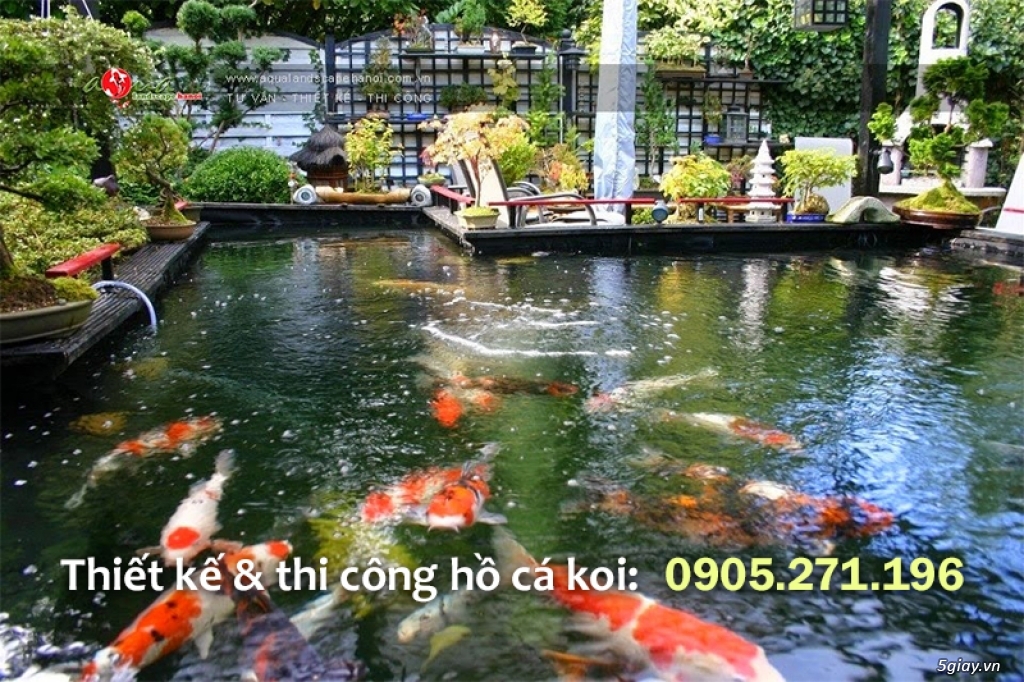 Hồ cá koi đẹp - Non bộ Sài Gòn chuyên thiết kế thi công hồ cá koi - 2