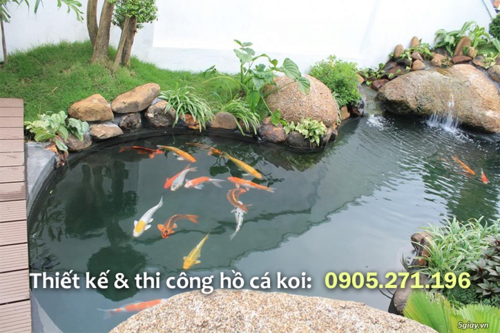 Hồ cá koi đẹp - Non bộ Sài Gòn chuyên thiết kế thi công hồ cá koi