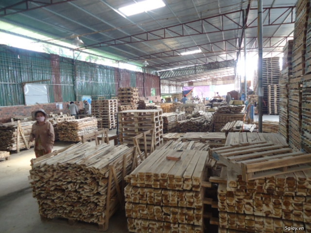 Chuyên cung cấp và bán buôn, bán lẻ các loại gỗ