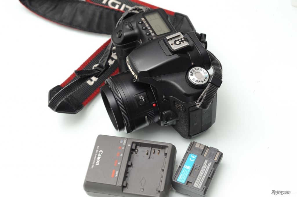 Canon 5D mark ll, 50D,Canon 1D mark lll,Nikon D3s,D700 - 6