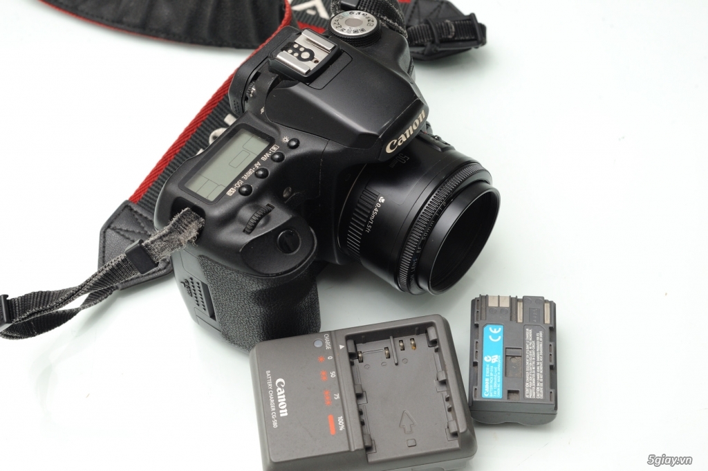 Canon 5D mark ll, 50D,Canon 1D mark lll,Nikon D3s,D700 - 8