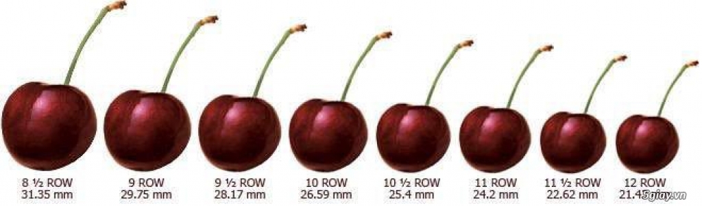 Cung cấp Cherry - Hạt Chia - Hạnh nhân chất lượng - 1