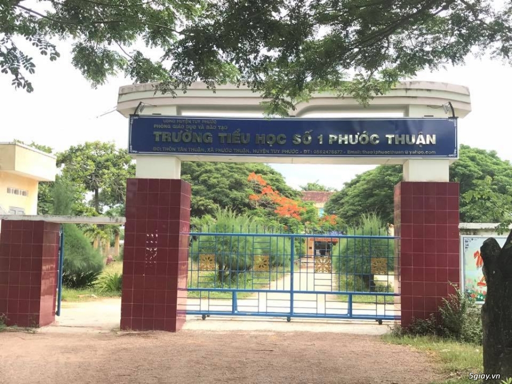 Cùng em đến trường - Tuy Phước Bình Định - 3