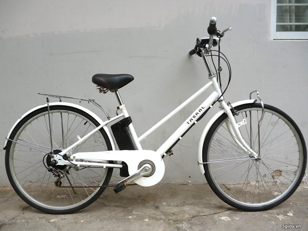 Xe đạp điện và trợ lực hàng bãi Nhật Bản - 11