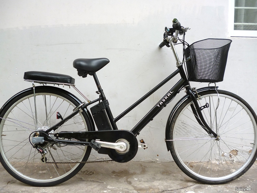 Xe đạp điện và trợ lực hàng bãi Nhật Bản - 12