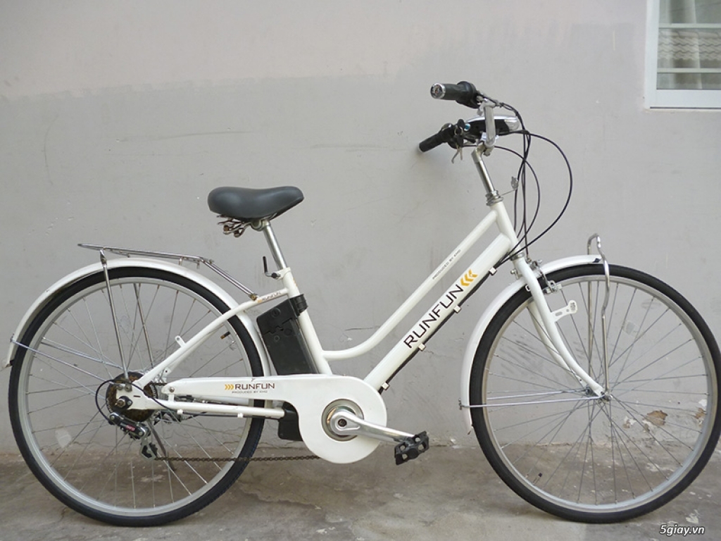 Xe đạp điện và trợ lực hàng bãi Nhật Bản - 10