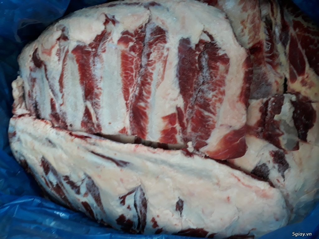 Chuyên cung cấp xương ống, xương sườn, chân bò Úc đông lạnh nhập khẩu - 7