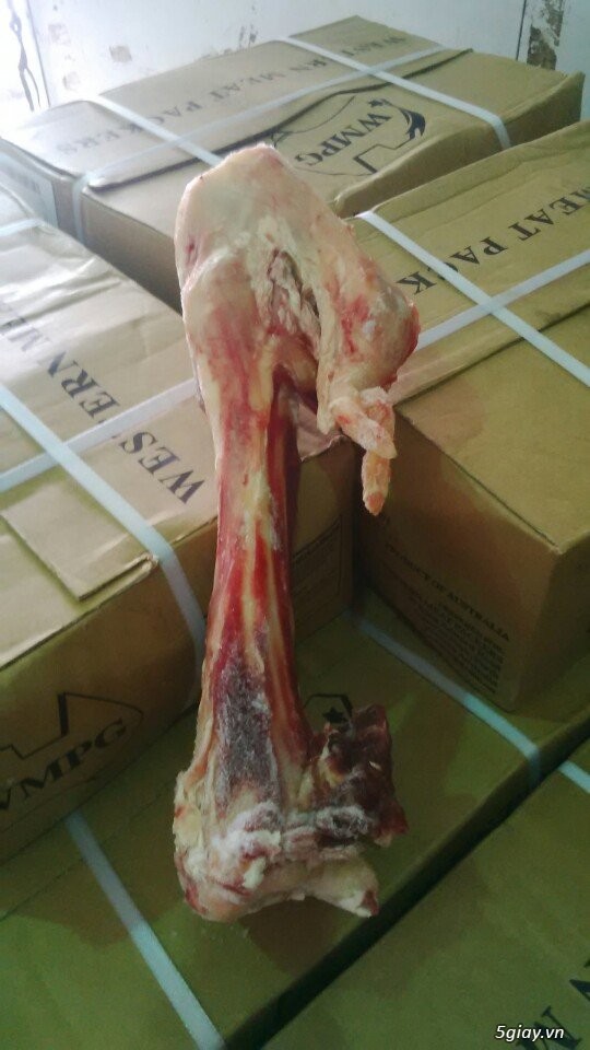 Chuyên cung cấp xương ống, xương sườn, chân bò Úc đông lạnh nhập khẩu - 3