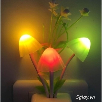 ĐÈN NGỦ CẢM BIẾN ÁNH SÁNG