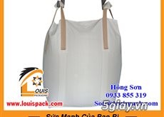 Bao Jumbo ( Bao Bigbag, Bulkbag, Bao 1 Tấn, ...) - 3