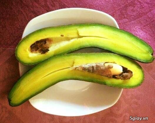 Bơ sáp 034 giá chỉ  90K/1kg.