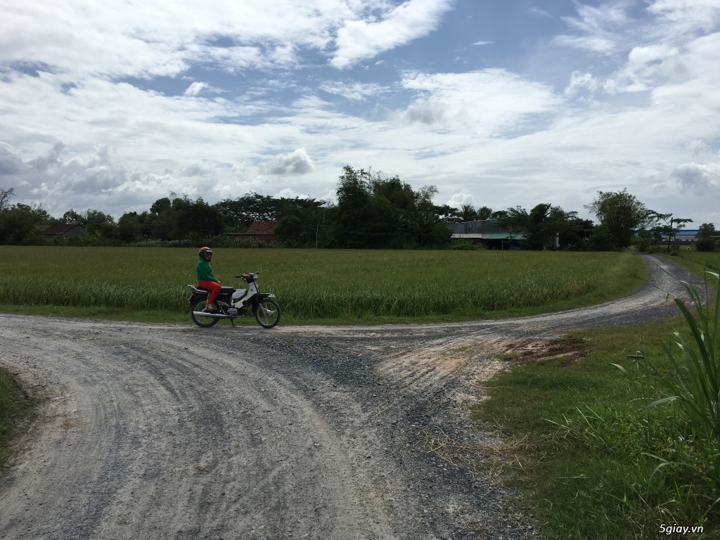 Bán đất Đức hoà thượng Long an