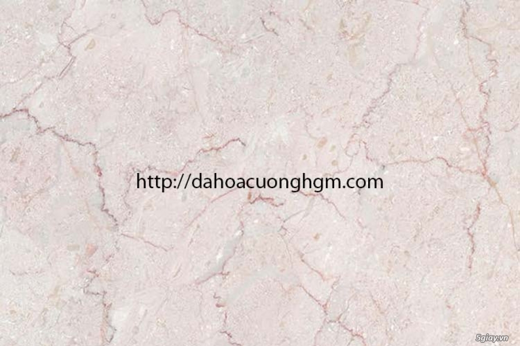CÔNG TY TNHH HUỲNH GIA MỘC - 1