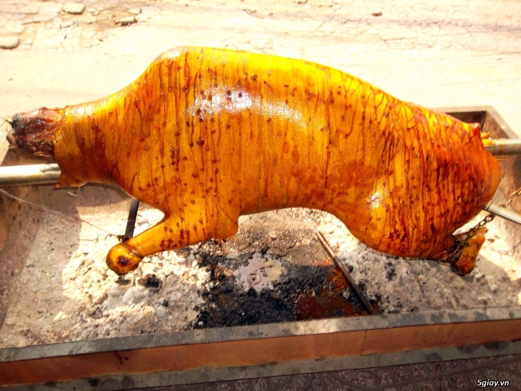 Cần bán Bò Tơ Long An tươi nóng!