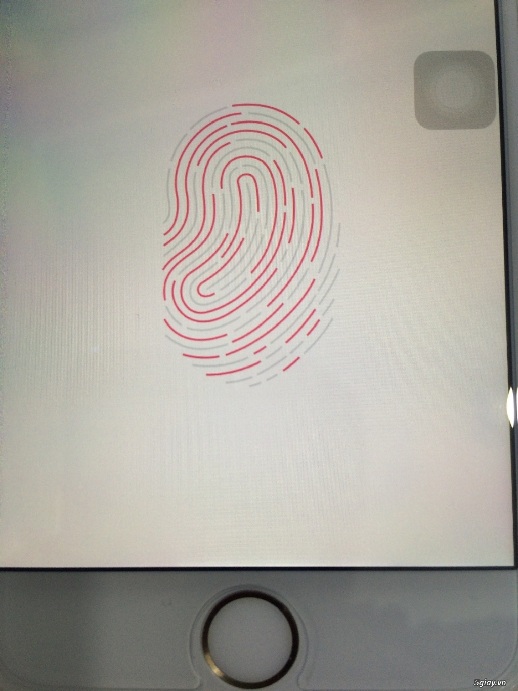 Iphone 6 plus gold QT không trầy, như mới - 3