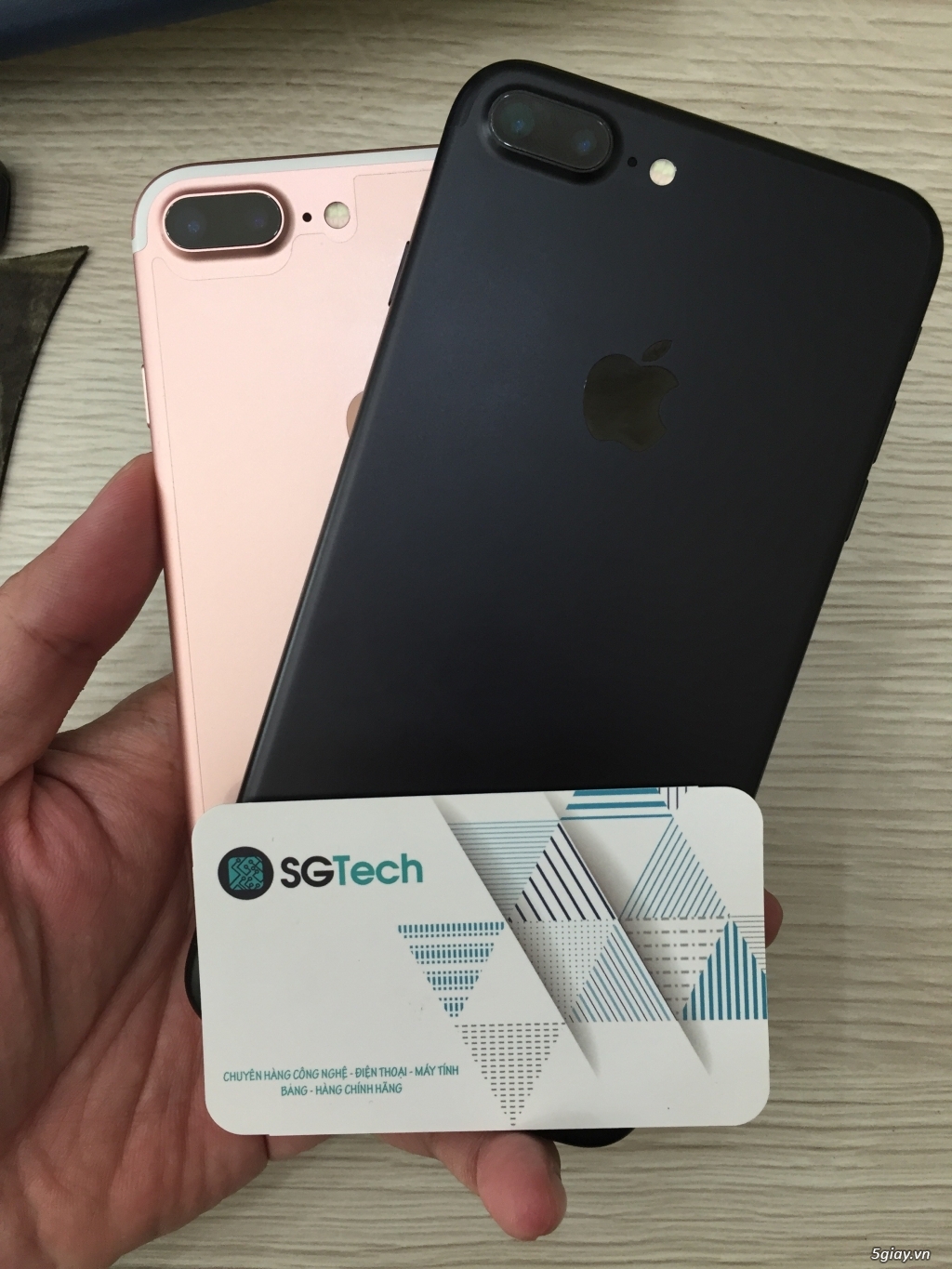 SGTECH - Iphone 5c/5s/6/6+/6s/6s+/7/7+ Lock, qte đủ màu - 37
