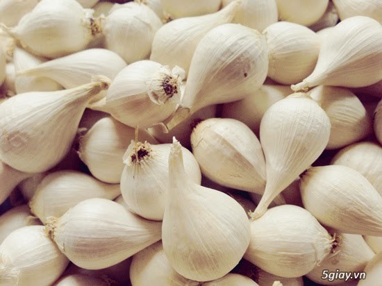 Tỏi Lý Sơn tại Hà Nội