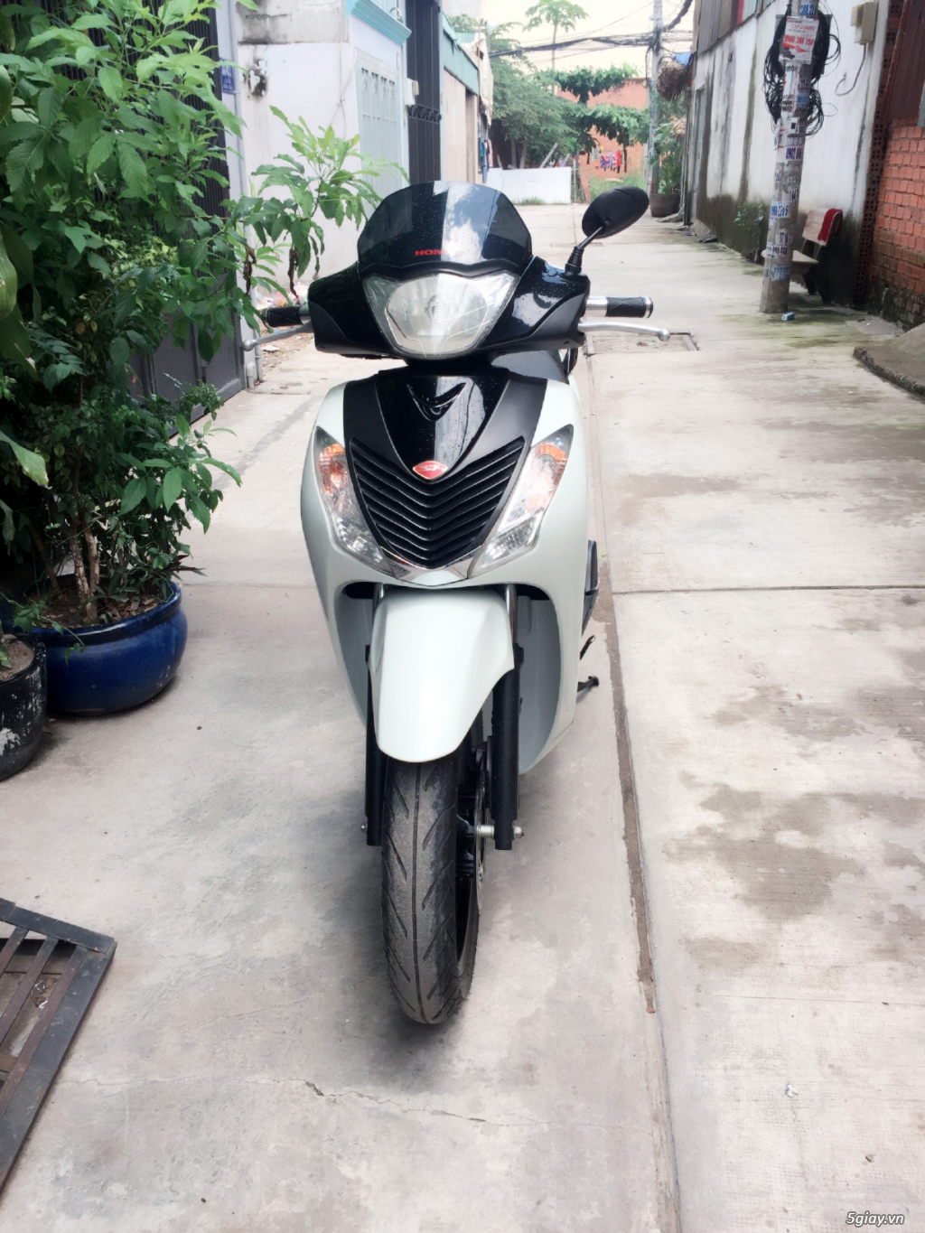 Sh 150i Nhập Ý Sport Cuối 2009