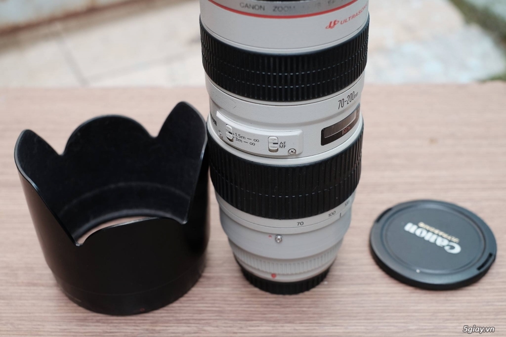 Canon 7D và 70-200 F2.8 - 3