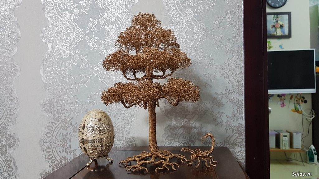 Bonsai Tùng, Bách bằng đồng - 3