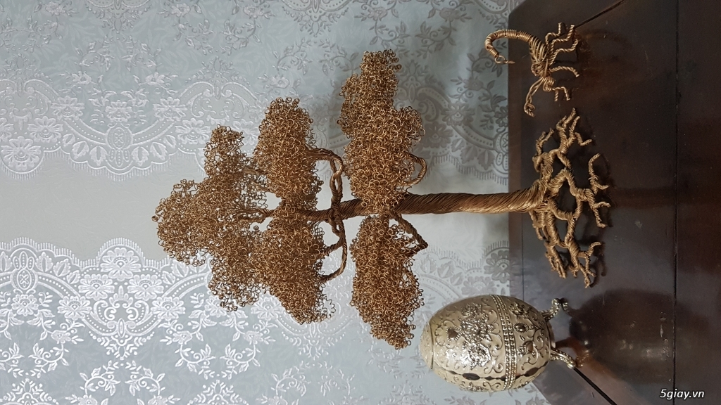 Bonsai Tùng, Bách bằng đồng - 2