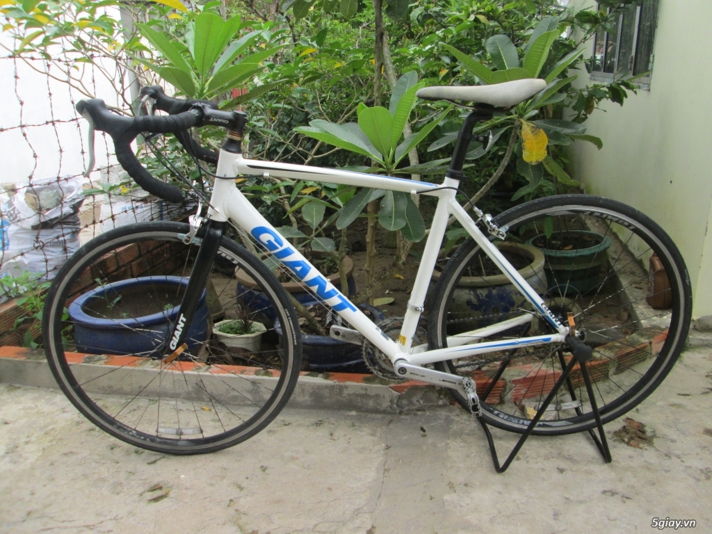 xe road GIANT phuộc carbon - 3