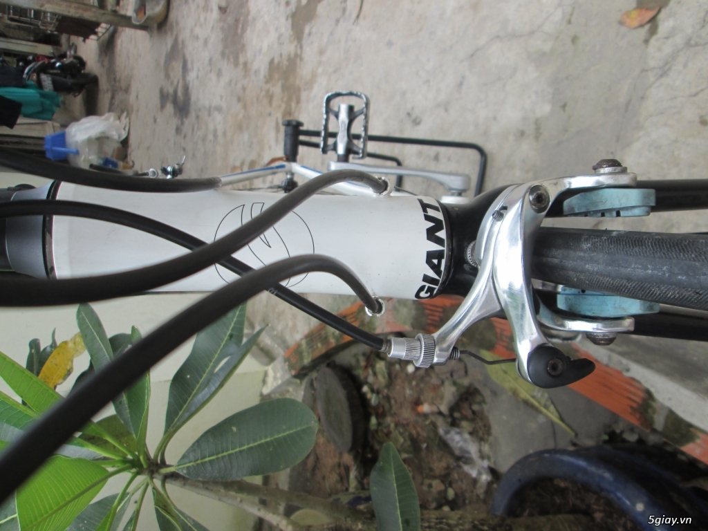 xe road GIANT phuộc carbon
