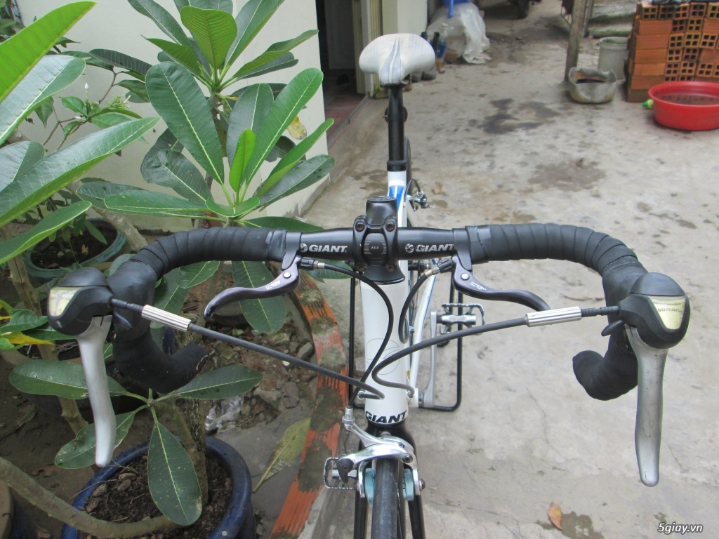 xe road GIANT phuộc carbon - 7