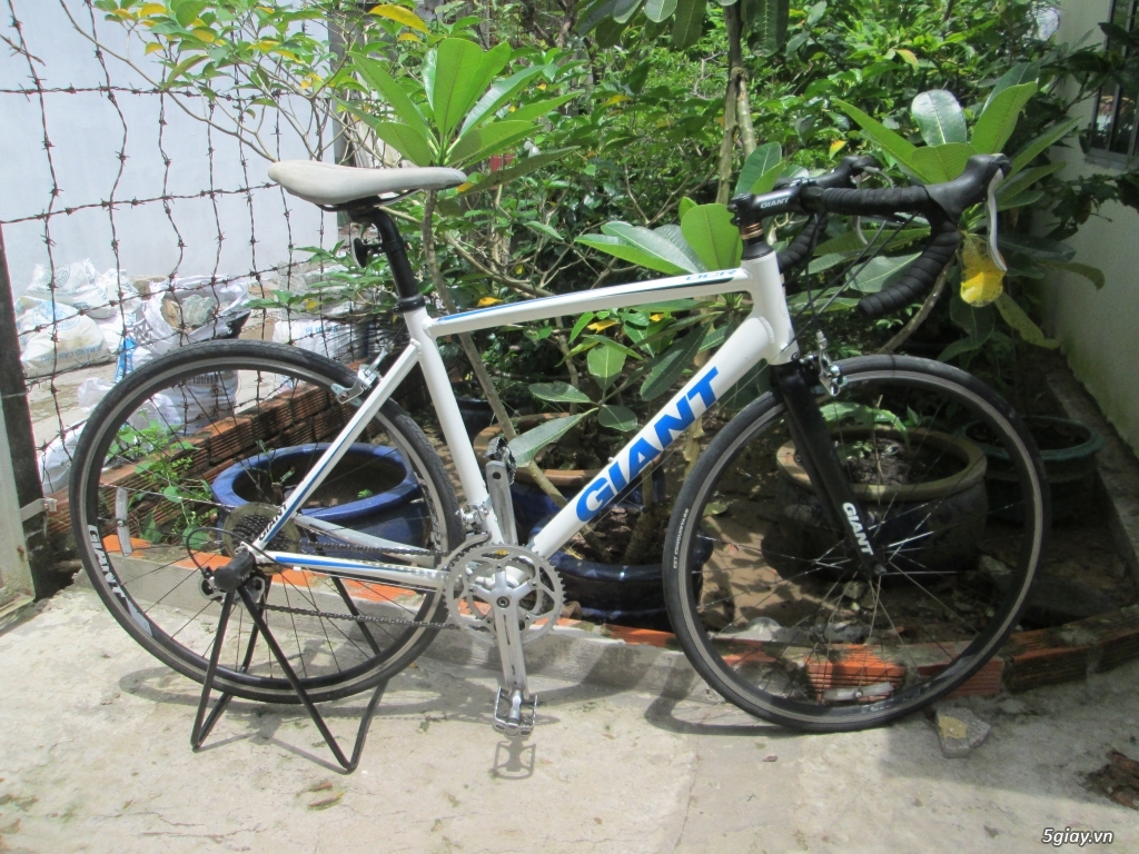 xe road GIANT phuộc carbon - 2