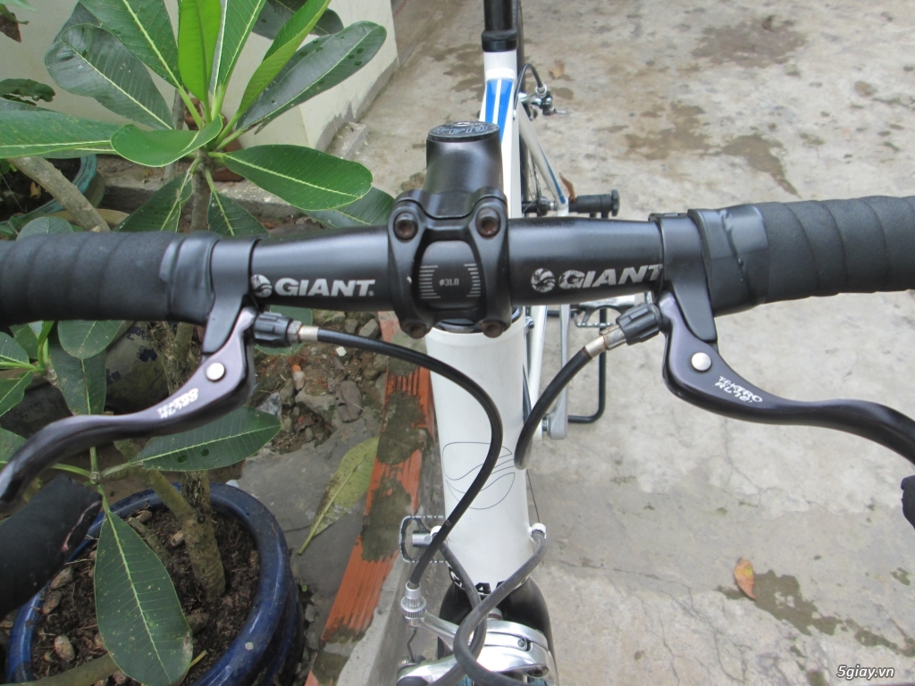 xe road GIANT phuộc carbon - 8
