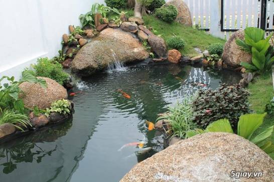 thiết kế thi công sân vườn biệt thự