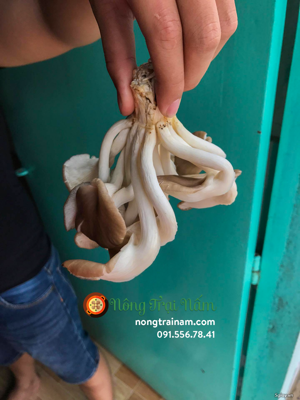 Nông Trại Nấm - Nơi khởi nguồn nấm sạch - 5